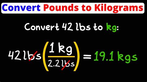 255 pounds to kg|Convert lbs to kg